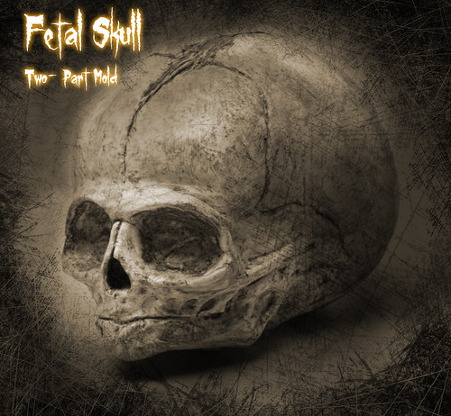 Fetal Skull Two-Part mold