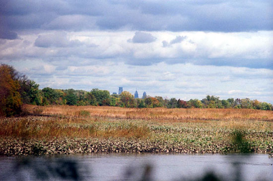 Marsh with Philly Skyline (Click to enlarge)