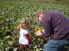 Dad Showing Lilli A Pumpkin