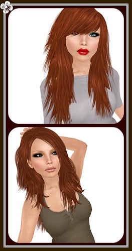 Bloggity Blog - Truth Hair May 6 ♥
