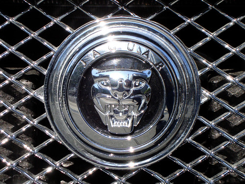 jaguar logo pics. Jaguar XKR logo