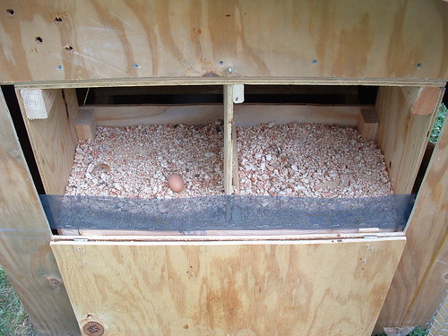 The nest boxes from the outside -- one egg waiting!
