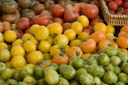 Red, yellow, orange, and green tomatoes