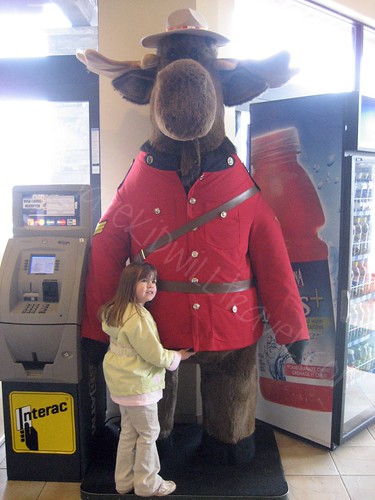 Who Doesn't Love a Large Stuffed Moose Dressed as a Mountie?  Souvenir City, Niagara Falls, Canada