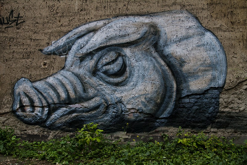 Roa Pig Painting - Urban Affairs 09 (by urbanartcore.eu)
