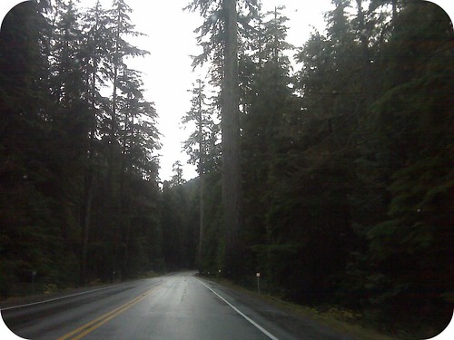 my ride home through cathedral grove