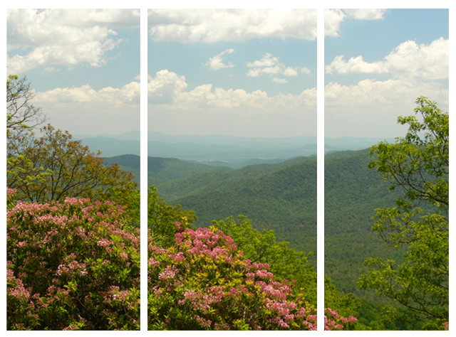 Mountain View Triptych