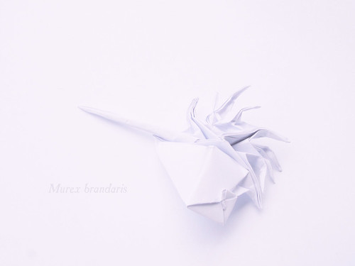 Origami Murex