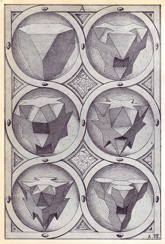 Ignis (a) - Perspectiva Corporum Regularium -  Wenzel Jamnitzer 1568