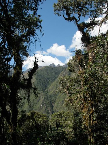 view from the jungle on the descent to camp