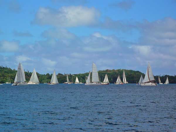Boats lining up for the start of the Governor's Cup