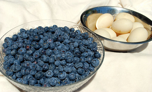 Blueberries and Eggs2