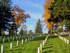 FALL FOR THE FALLEN (lewsviews) Tags: autumn trees usa fall virginia culpeper headstones sunny graves national fallen cementery vets