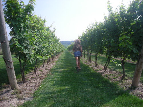 Walking in the Vineyard