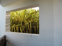 Dominican Window