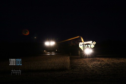 . night time harvest .