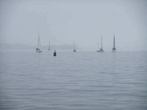 turning sailboats