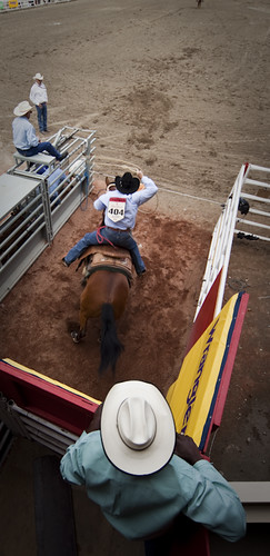 Photo from the Calgary Stampede on Flickr