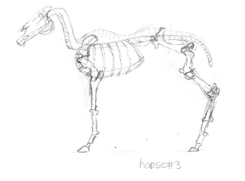 horse drawing pictures. Horse skeleton, part 3
