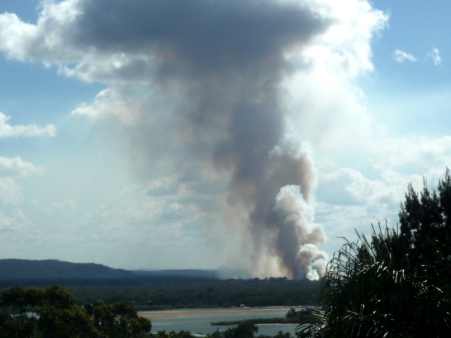 Noosa bushfire