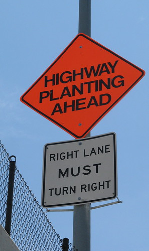 What happens when you plant a highway?
