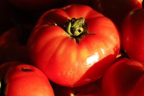 Nothing tastes better than garden tomatoes (Credit: David Steltz)