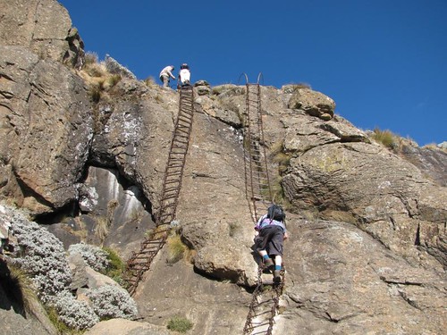 chain ladder descent