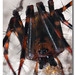 European cave spider (Meta menardi) KÃ¤llarspindel