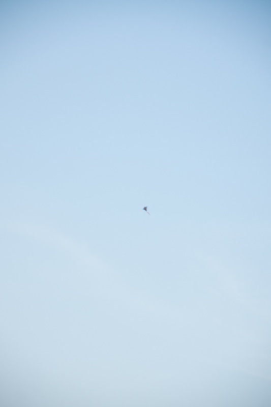 yw-go fly kite-marina barrage-090824-0021.jpg