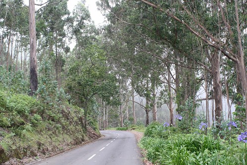 Madeira: On the Road ©  Jean & Nathalie
