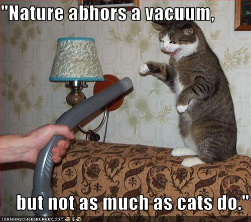 funny-pictures-cat-hates-vacuum