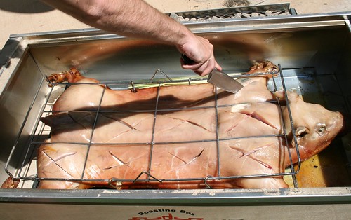 Cutting the pig