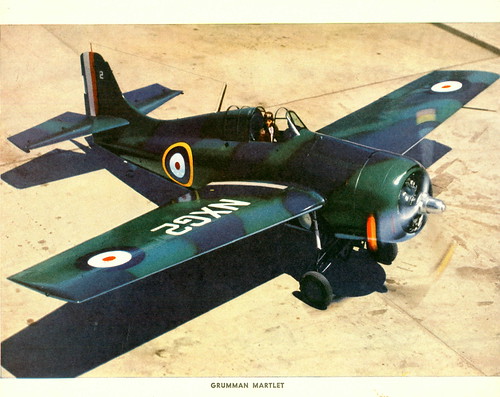 Warbird picture - British Martlet,Grumman F4F