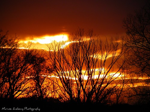 Saganashkee Slough sunset, Palos Hills IL