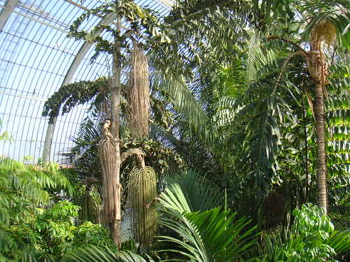 Interior de Palm House