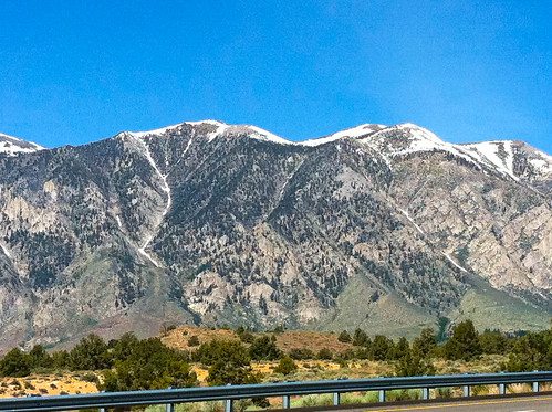 Eastern Sierras in June