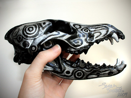 Coyote Skull Art for Sale by Little Lioness