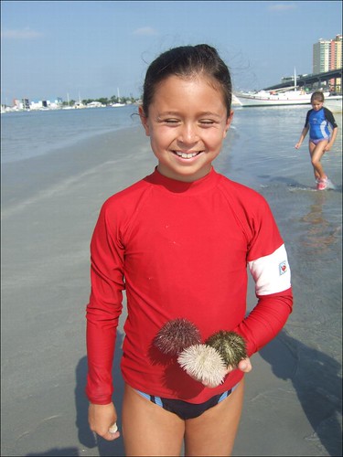 Acadia and a handful of sea urchins!