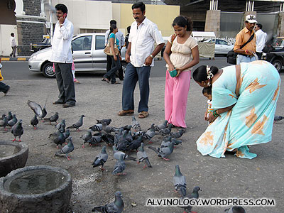 More people feeding pigeons