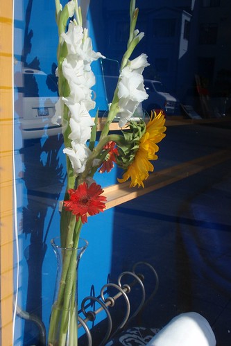 Shop Window Flowers