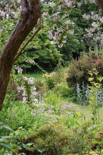 Connie Hansen's Garden