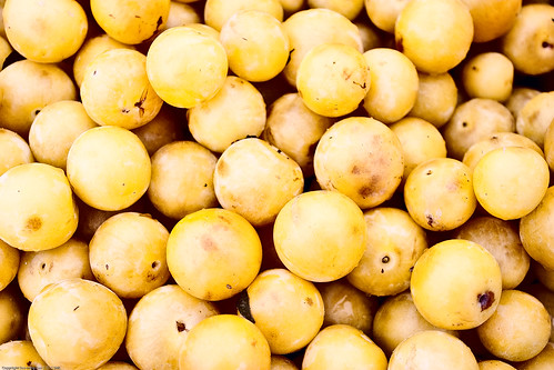 Mirabelle Plum, Farmers Market / 20090828.10D.51934.P1 / SML (by See-ming Lee 李思明 SML)