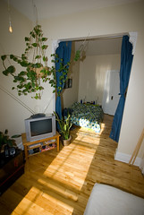Living room & bedroom