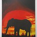 Elephant Sunset(Natures Masterpiece)
