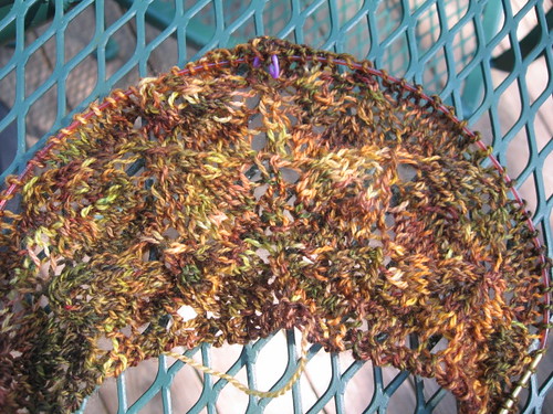 Leaf Lace Shawl - 6/7/09