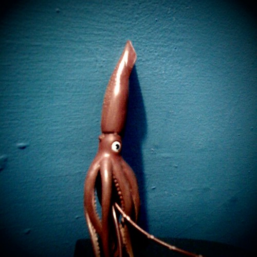 Thursday night squid