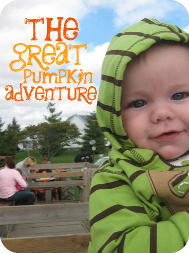 pumpkin adventure