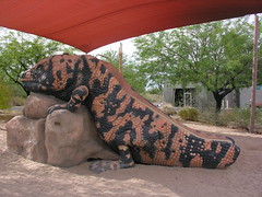 Is is a giant Gila monster? - No, its a childrens slide