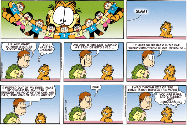 Garfield: Lost in Translation, October 25, 2009