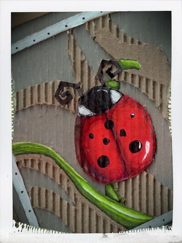 Ladybird by helencarter1001